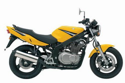 Suzuki GS 500F 2004